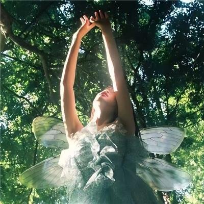 活死人之夜动画版